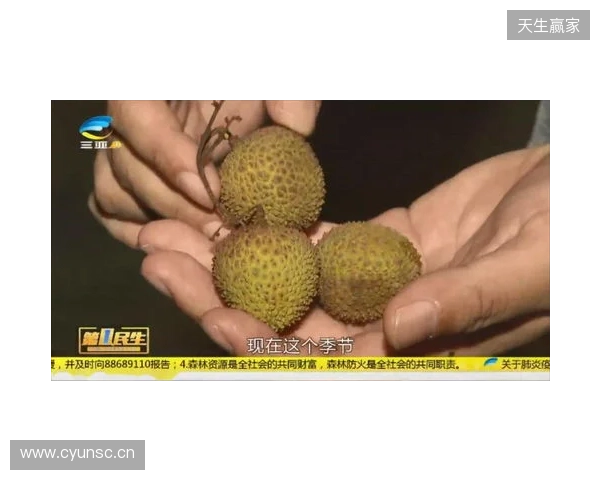 穆德里克因车窗贴膜颜色过深被拦下后,被发现禁驾期内驾驶